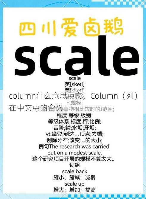 column什么意思中文