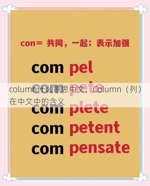 column什么意思中文