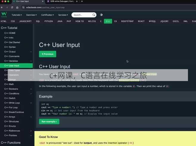 c+网课