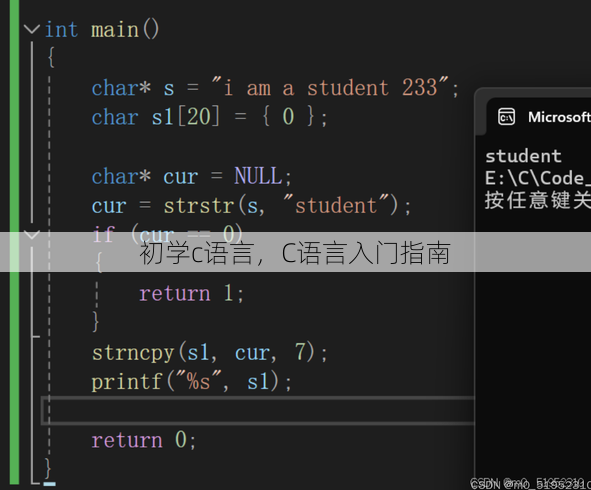 初学c语言