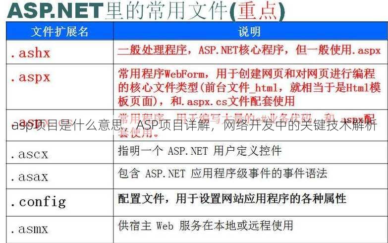 asp项目是什么意思