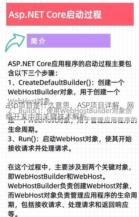 asp项目是什么意思