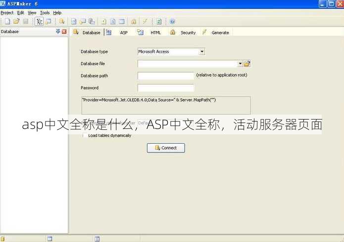 asp中文全称是什么