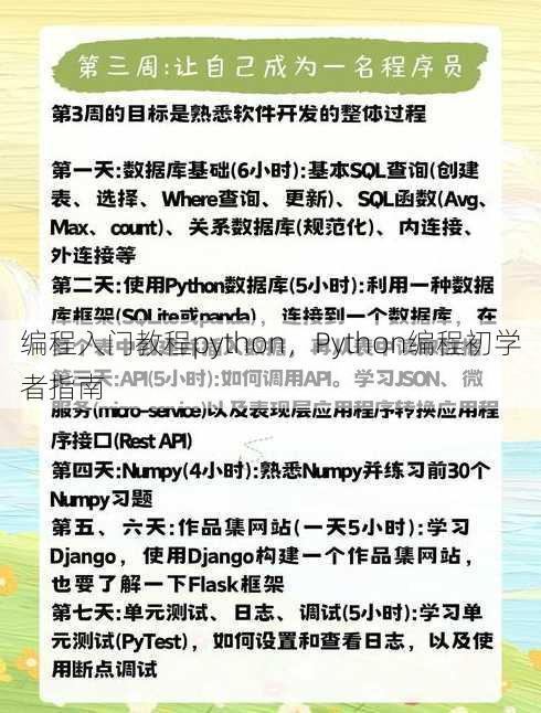 编程入门教程python