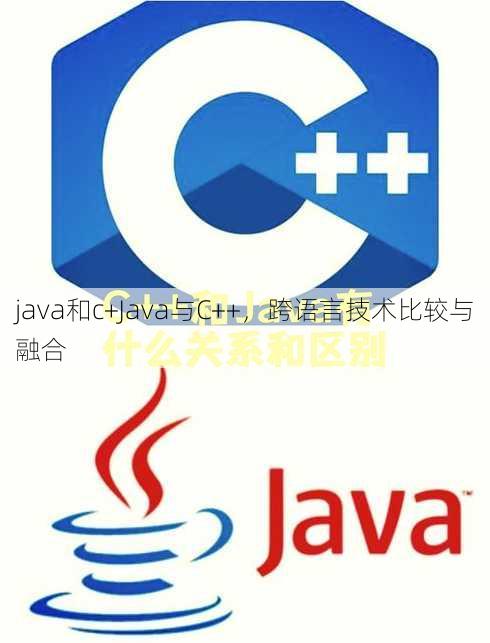 java和c+