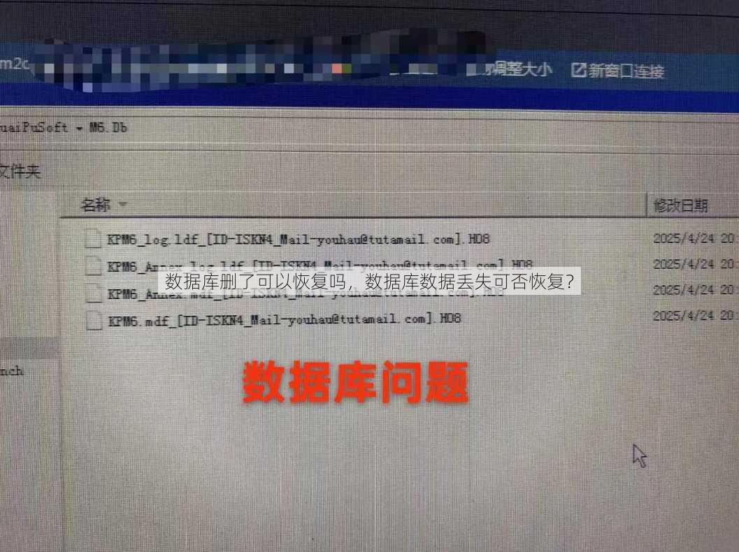 数据库删了可以恢复吗