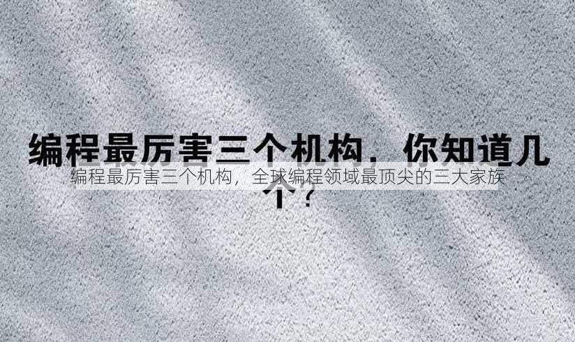 编程最厉害三个机构