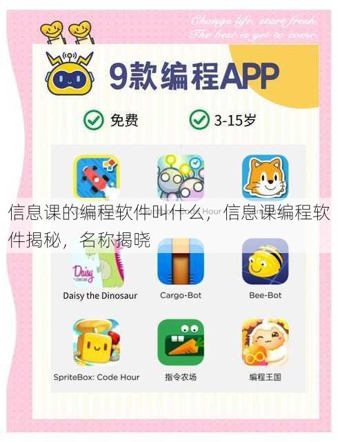 信息课的编程软件叫什么
