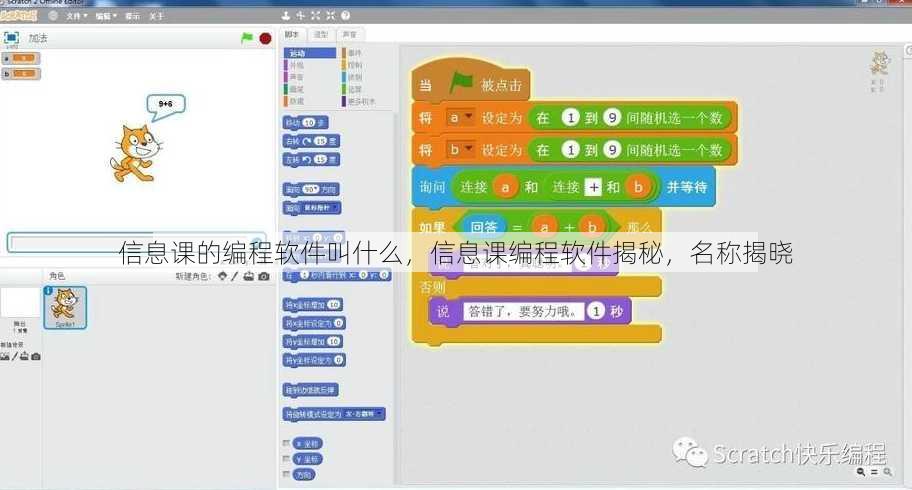 信息课的编程软件叫什么