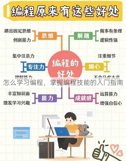 怎么学习编程
