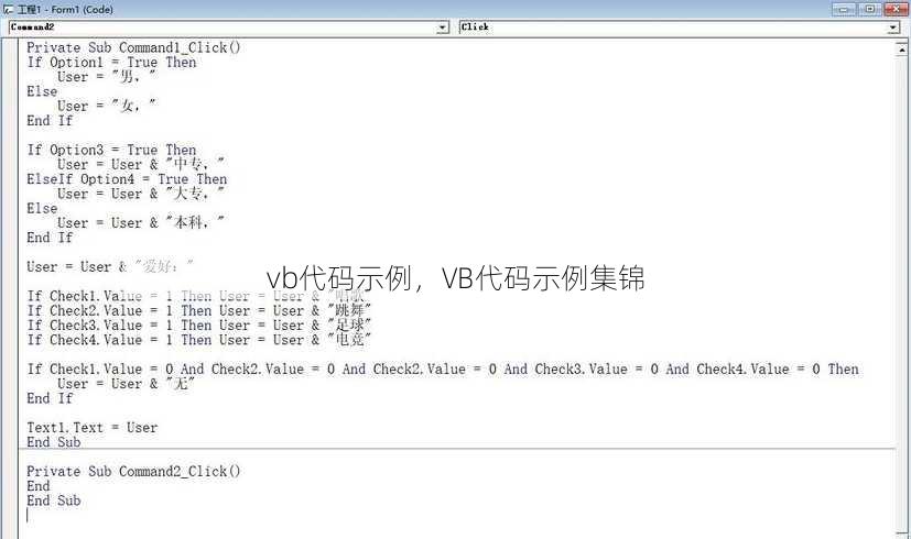 vb代码示例