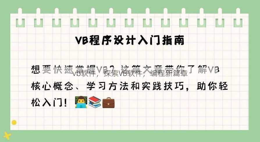 vb软件