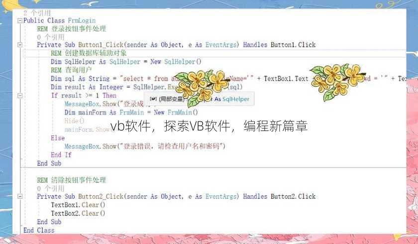 vb软件