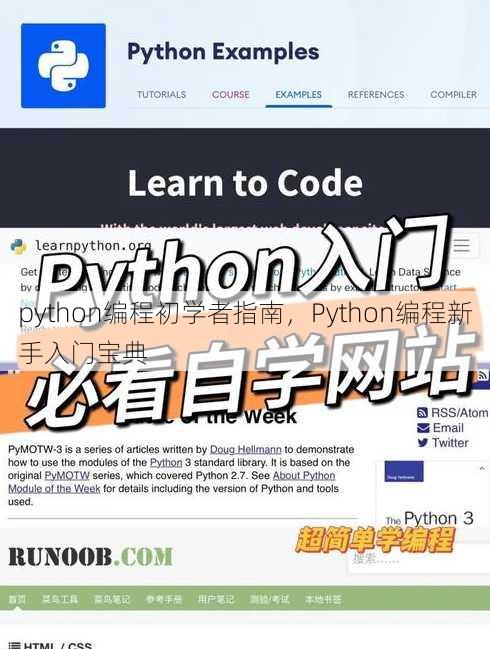 python编程初学者指南