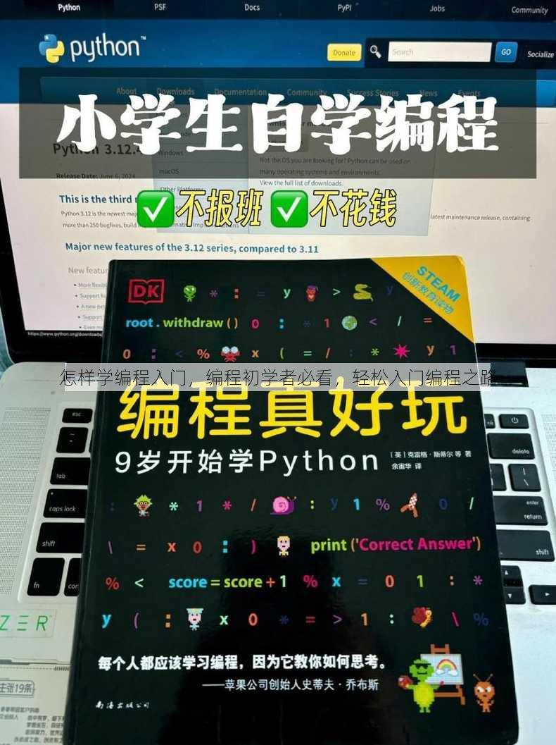 怎样学编程入门