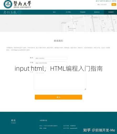 input html