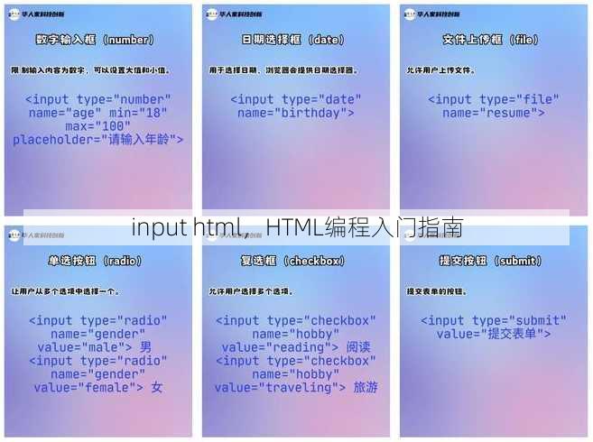 input html