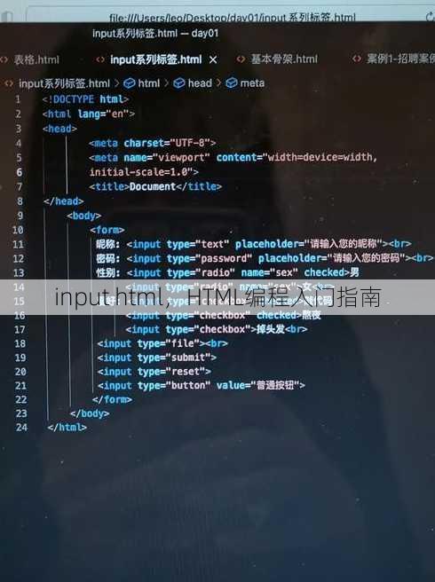 input html