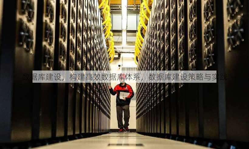 数据库建设