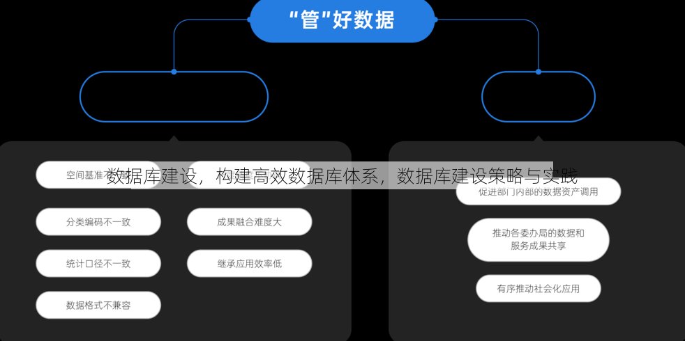 数据库建设