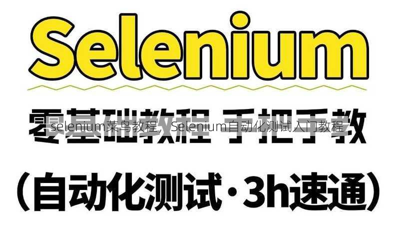 selenium菜鸟教程