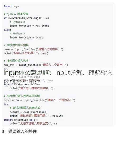 input什么意思啊