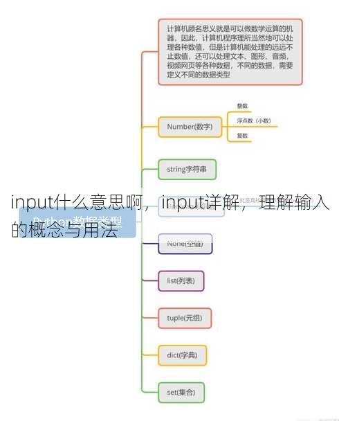 input什么意思啊