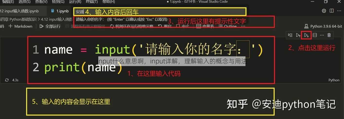 input什么意思啊