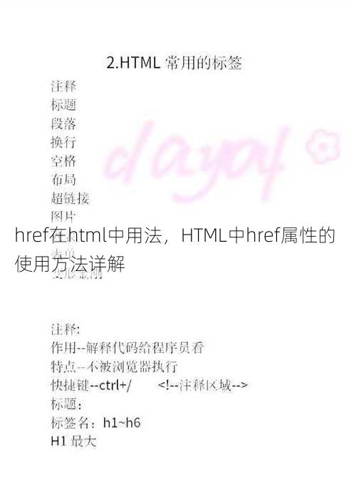 href在html中用法