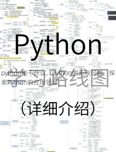 python能干什么