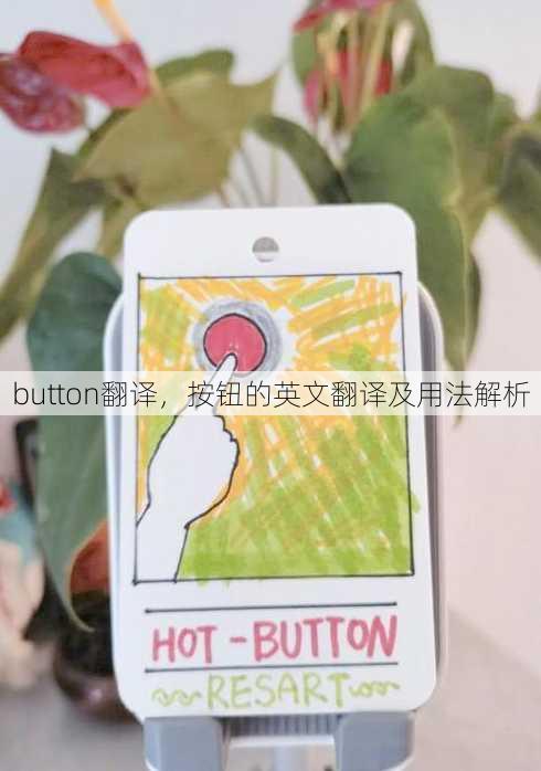 button翻译