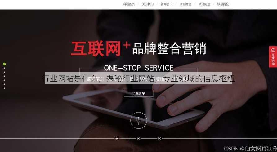 行业网站是什么