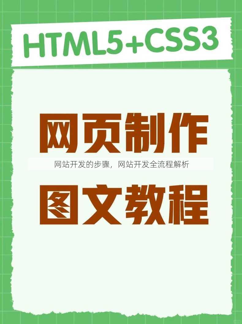 网站开发的步骤