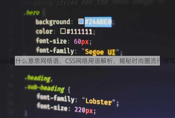 css是什么意思网络语