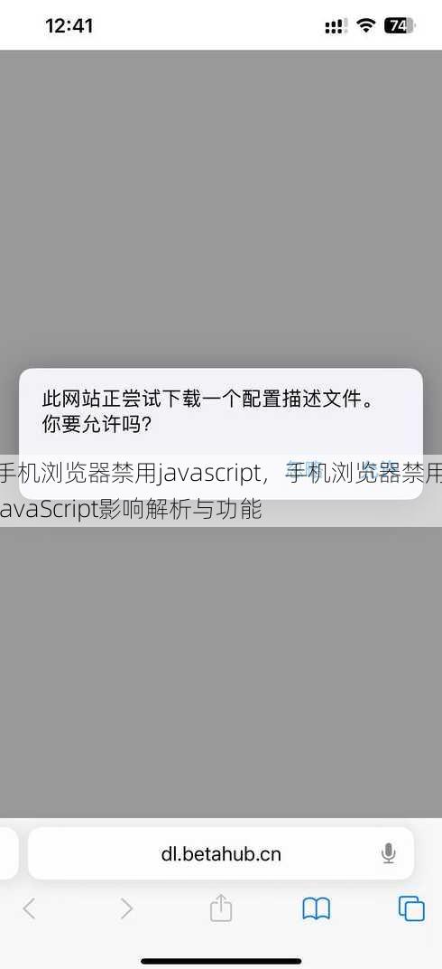 手机浏览器禁用javascript
