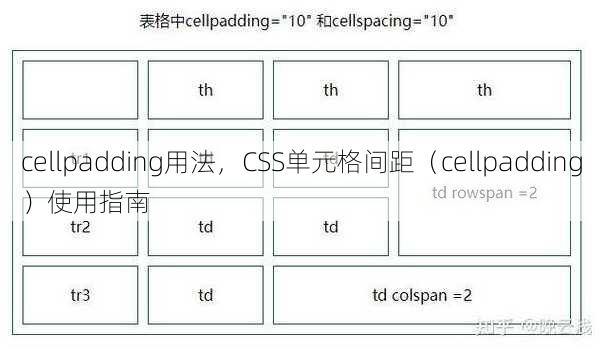 cellpadding用法