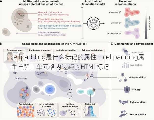 cellpadding是什么标记的属性