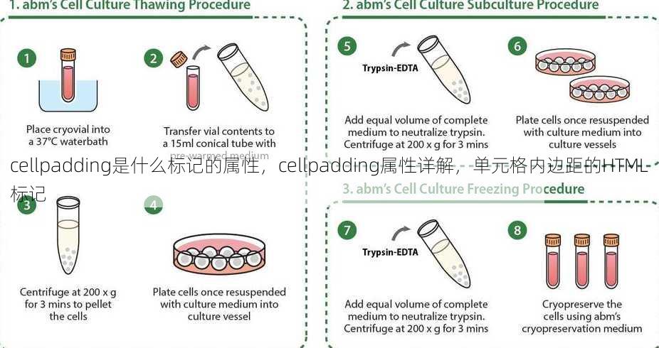 cellpadding是什么标记的属性
