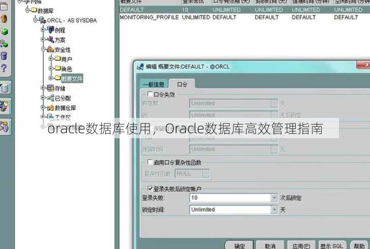 oracle数据库使用