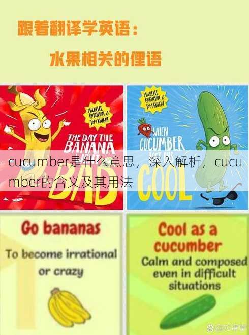 cucumber是什么意思