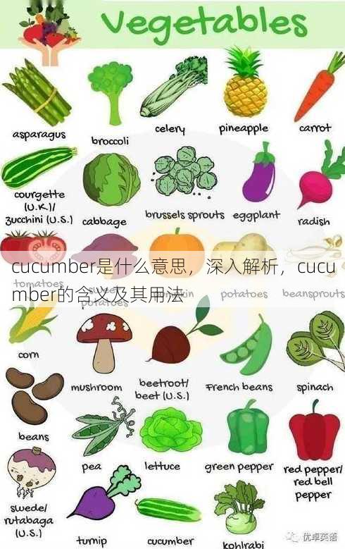 cucumber是什么意思