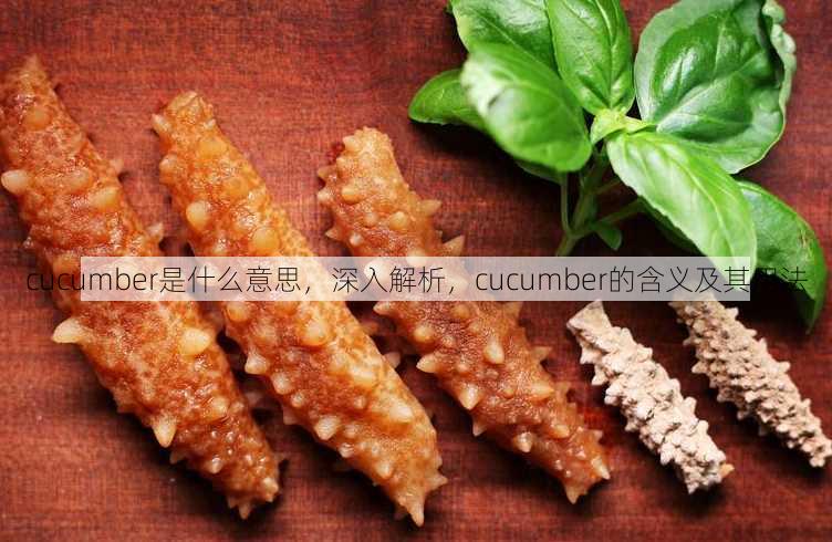 cucumber是什么意思