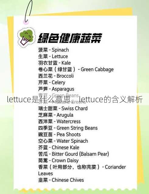 lettuce是什么意思