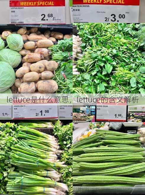 lettuce是什么意思