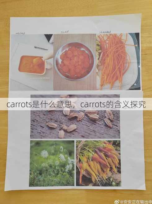 carrots是什么意思