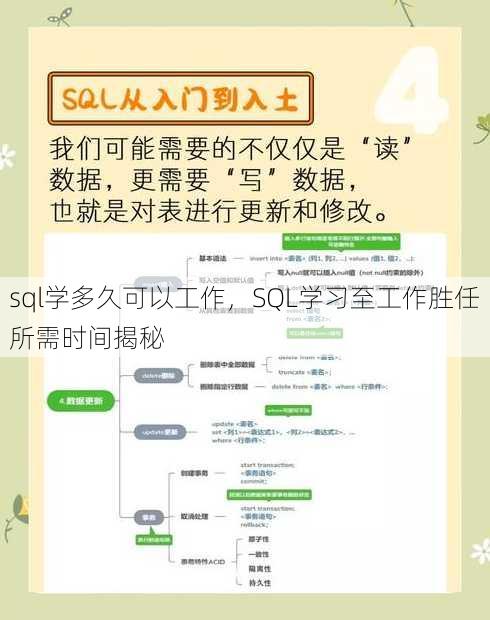 sql学多久可以工作