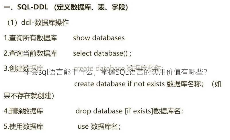 学会sql语言能干什么