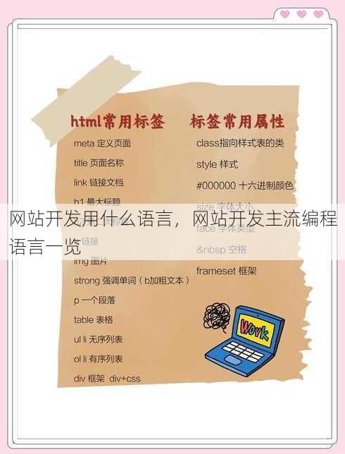 网站开发用什么语言