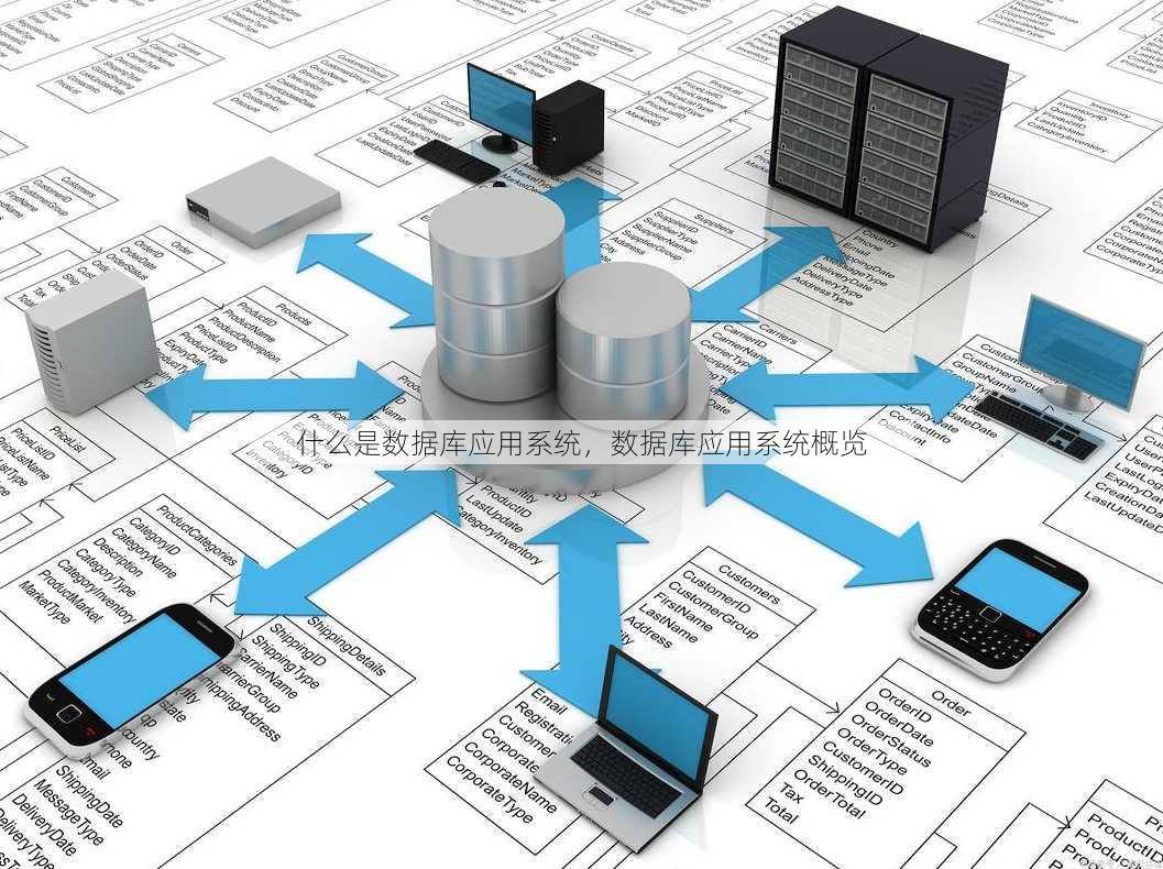 什么是数据库应用系统