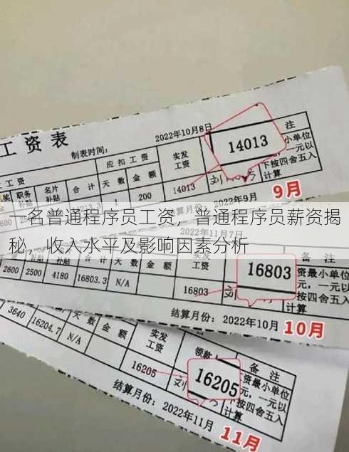 一名普通程序员工资
